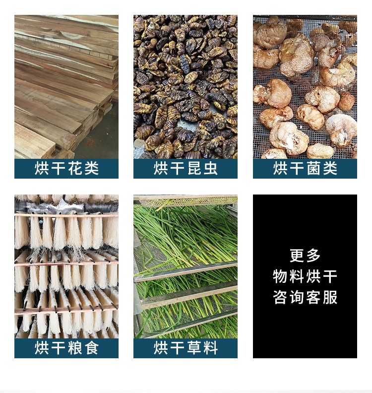 5f90f9b68843b.jpg