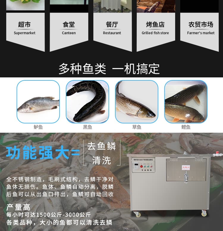艾博馳ABCH-71去魚鱗機8